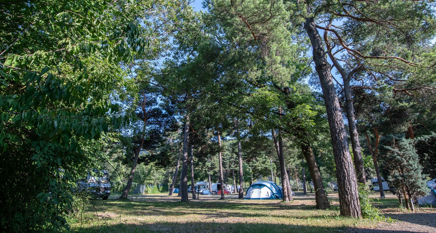 Emplacements de camping nature - La Fontaine à Réotier